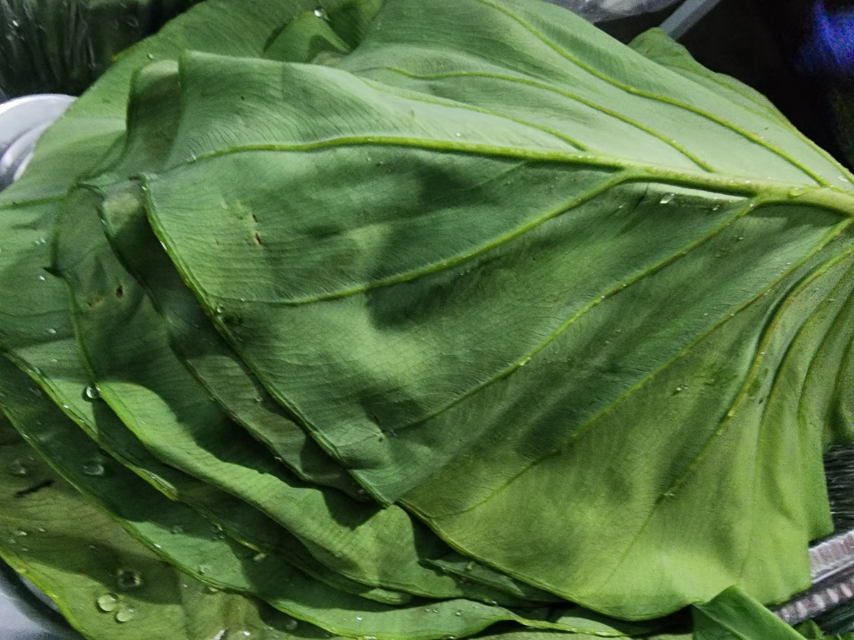 Kalo Bundle (20 Large Taro/Kalo Leaves)