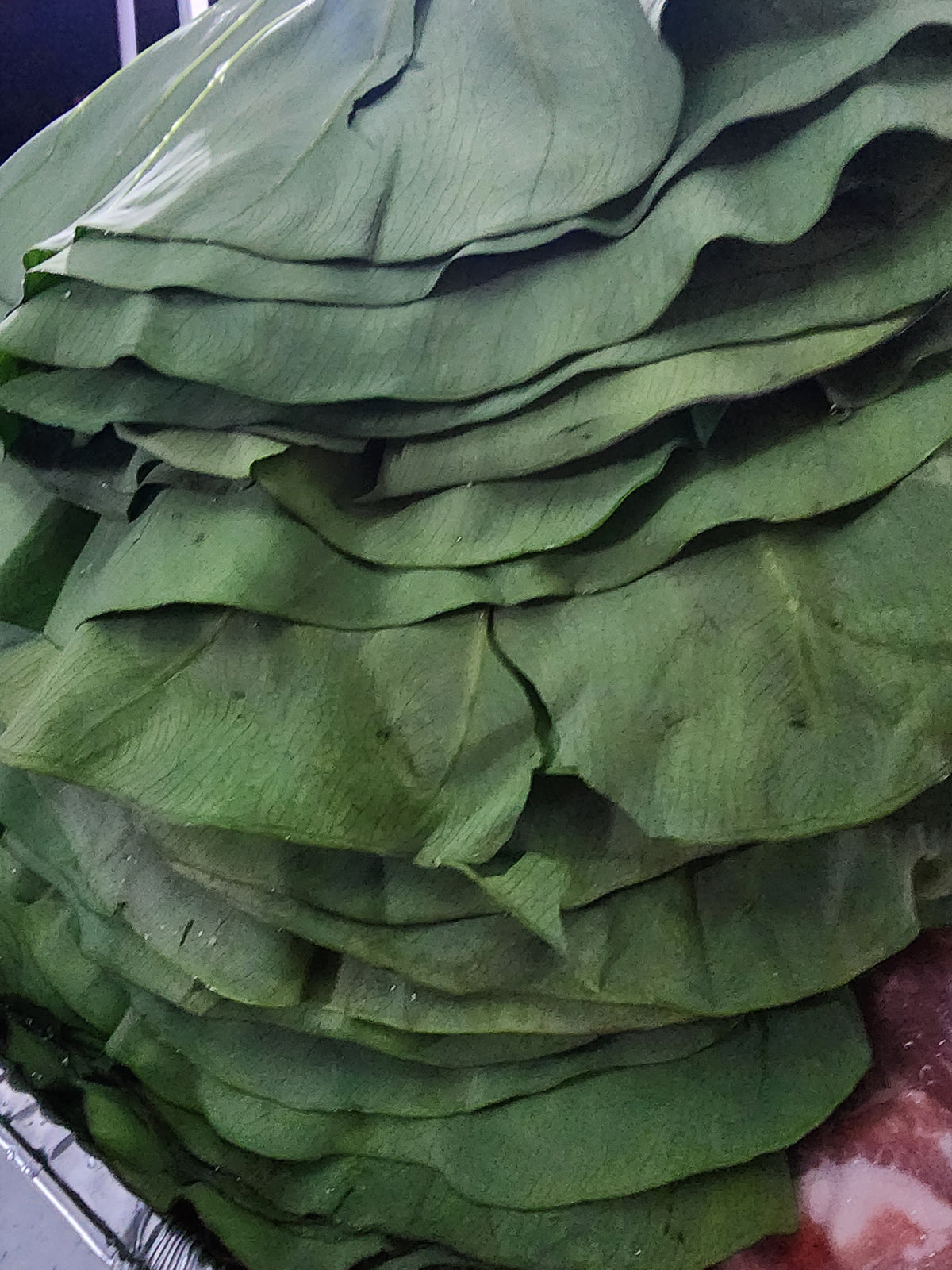 Kalo Bundle (20 Large Taro/Kalo Leaves)