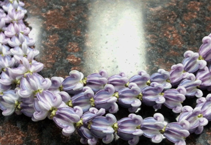 Crown Flower (Milk Weed Flower)